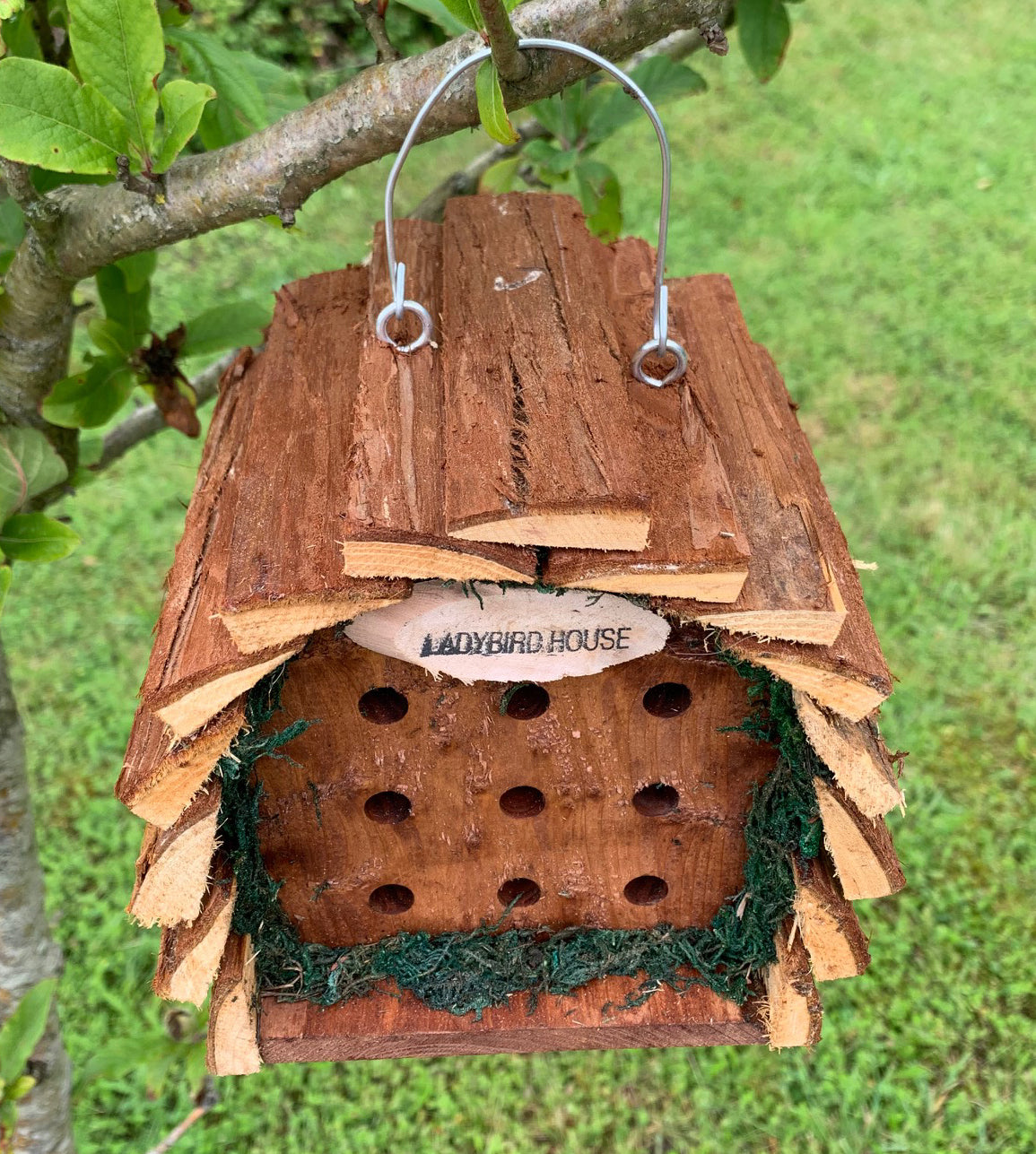 Wooden Hanging Ladybird House Garden Bug Habitat