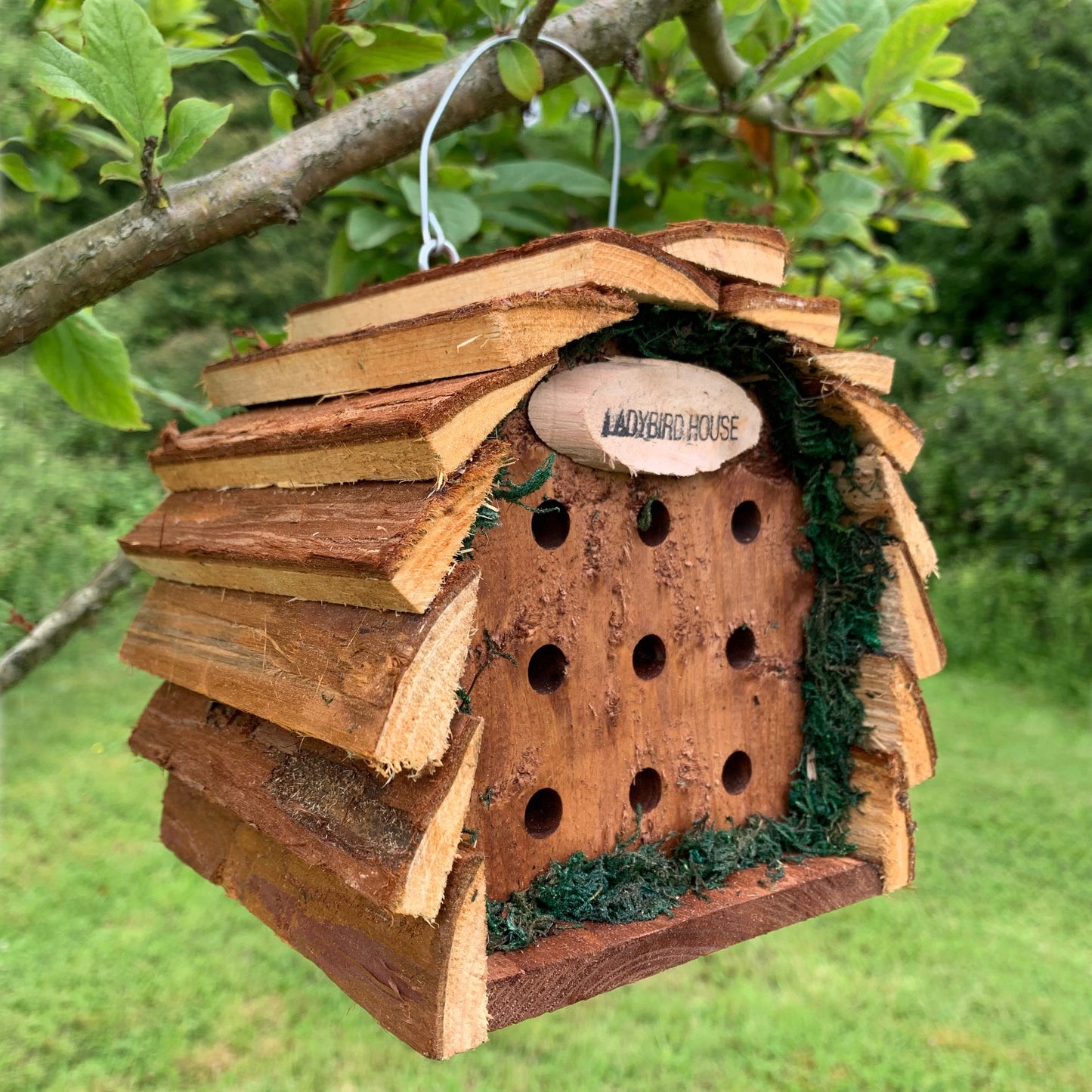 Wooden Hanging Ladybird House