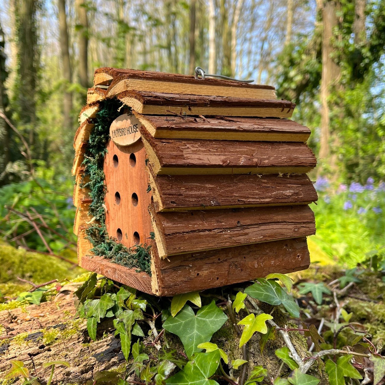 Wooden Hanging Ladybird House Garden Bug Habitat