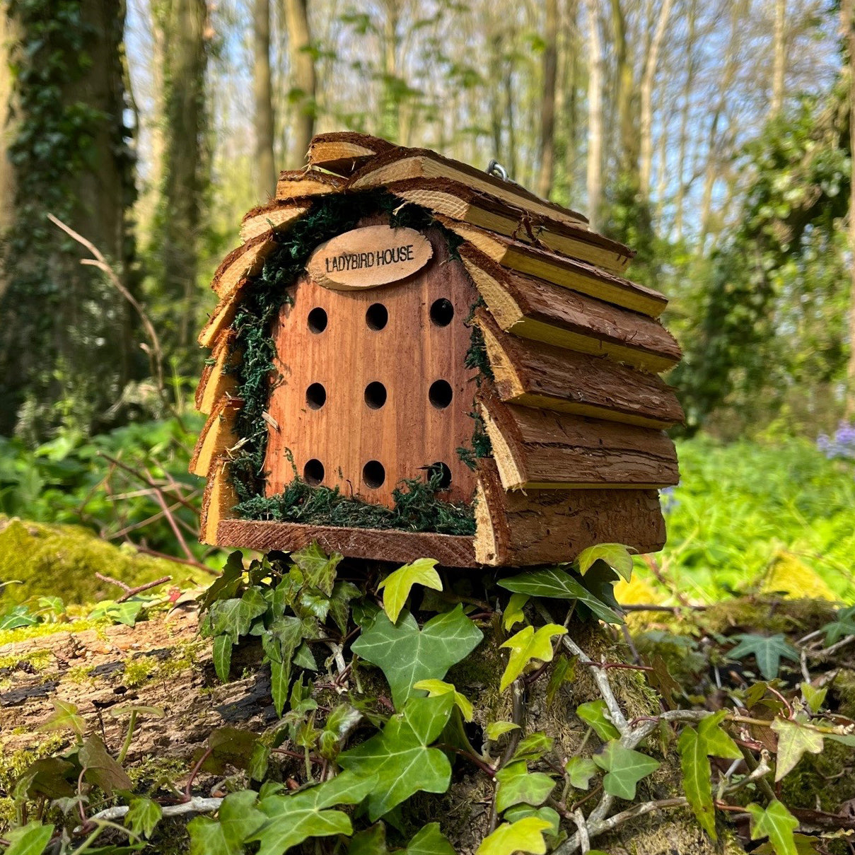 Wooden Hanging Ladybird House Garden Bug Habitat