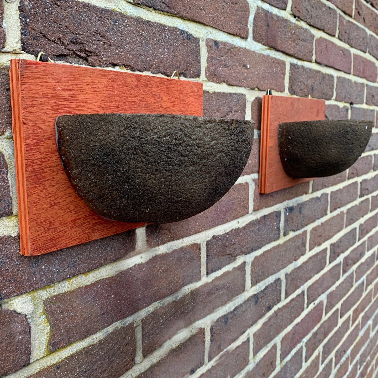 Swallow Nest Bird House Rounded Half Cup Nester