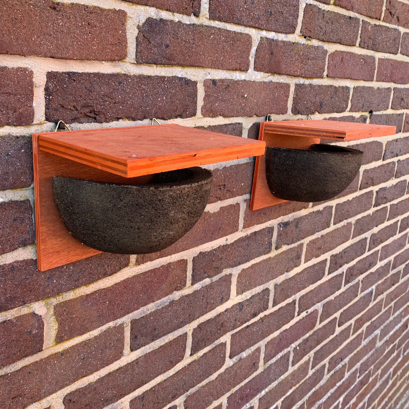 House Martin Bird Nest Box Rounded Half Cup With Top Nester