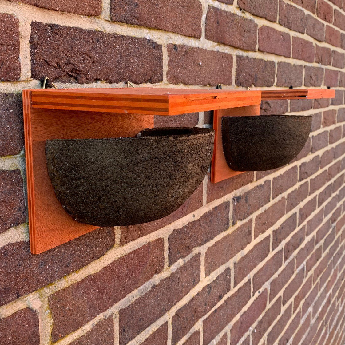 House Martin Bird Nest Box Rounded Half Cup With Top Nester