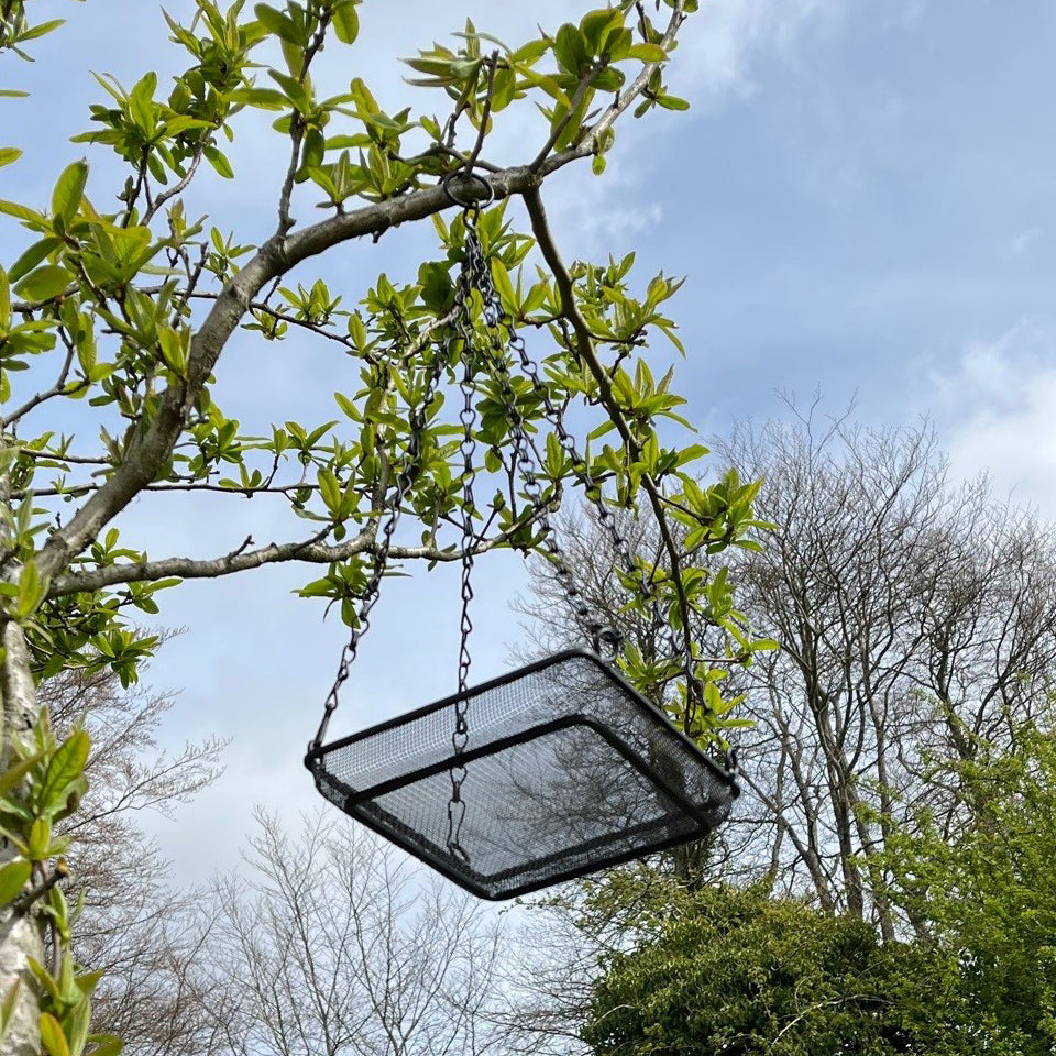 Hanging Metal Bird Seed & Nut Feeder Tray (Pack of 2)