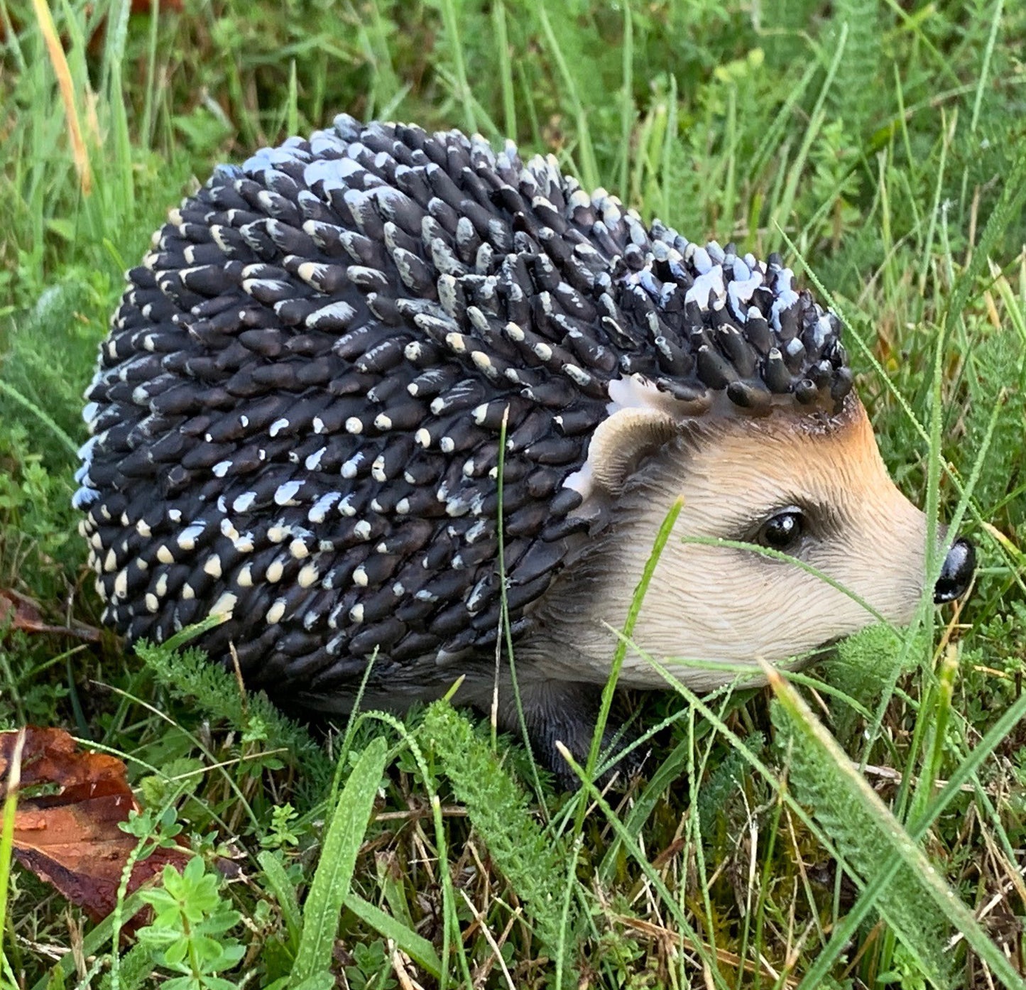 Hoglet Baby Hedgehog Resin Garden Ornament