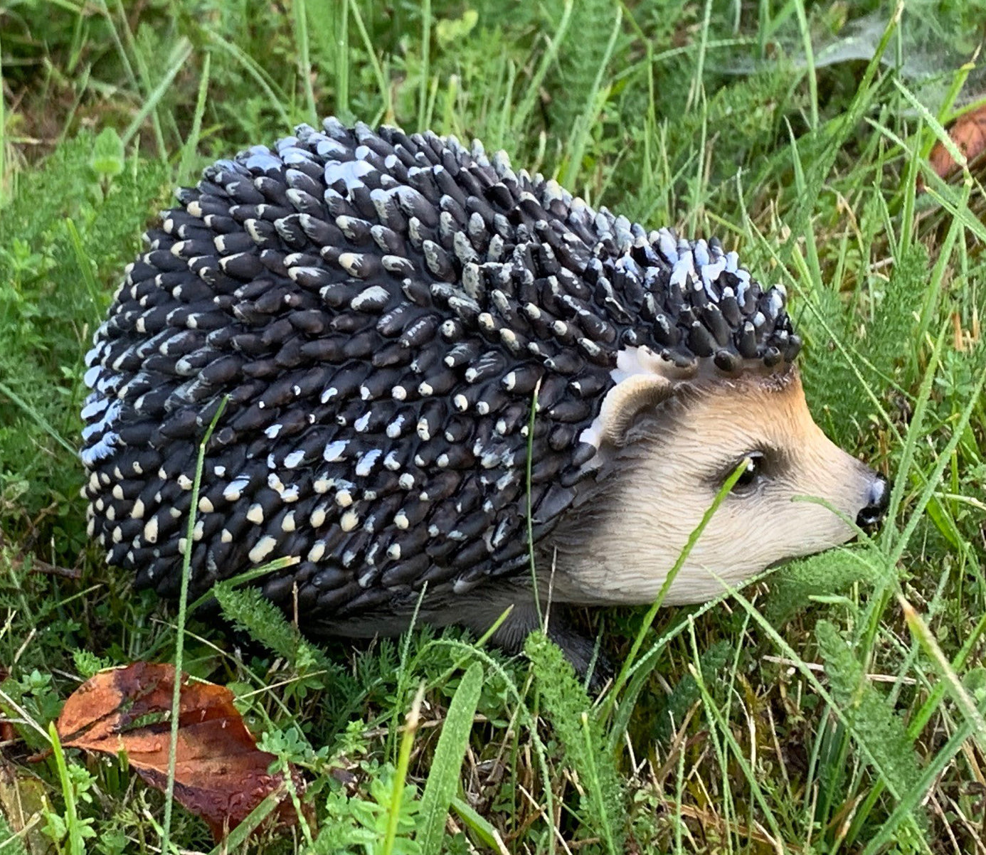 Hoglet Baby Hedgehog Resin Garden Ornament