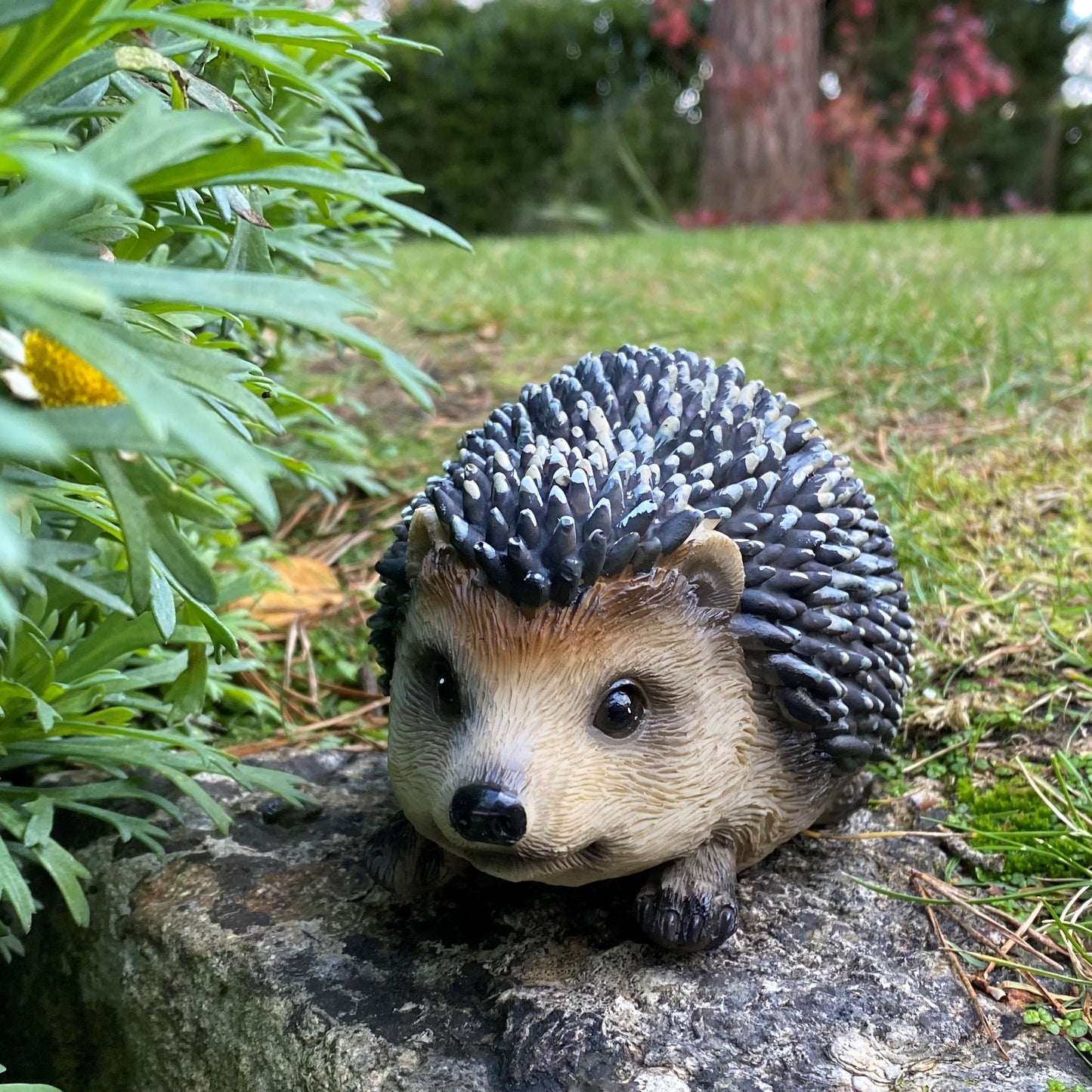 Hoglet Baby Hedgehog Resin Garden Ornament