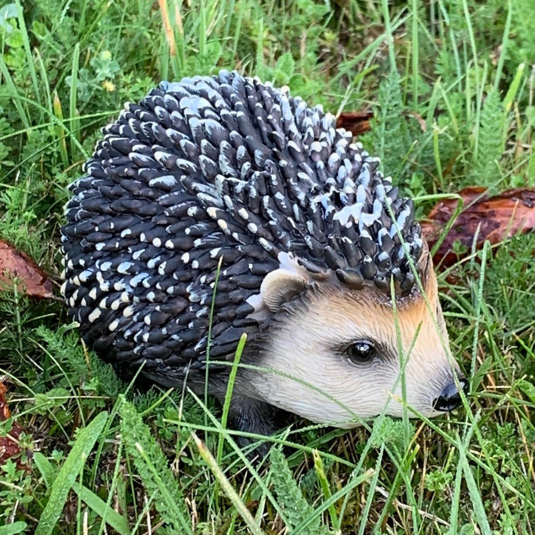 Hoglet Baby Hedgehog Resin Garden Ornament