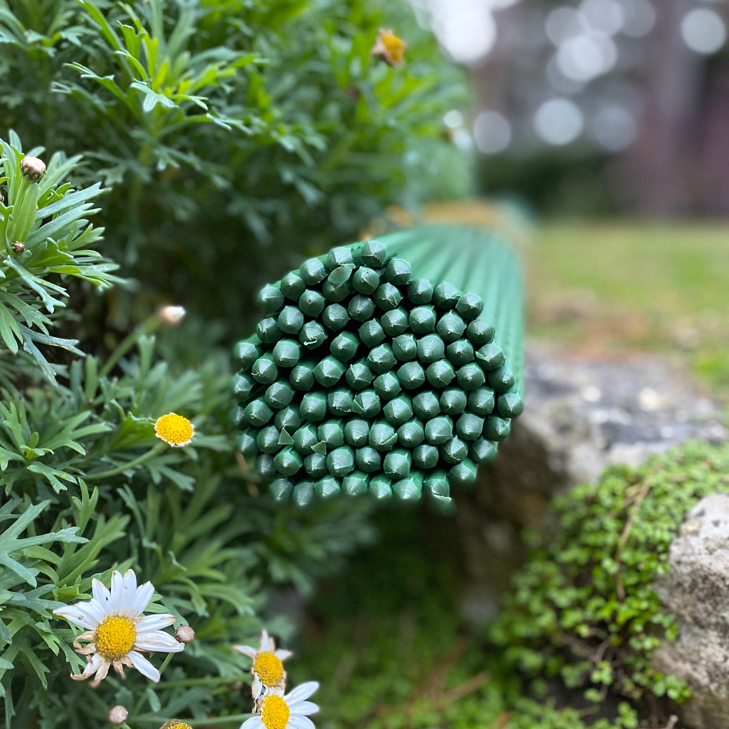 Plastic Coated Metal Garden Plant Support Sticks (60cm) - Pack of 80