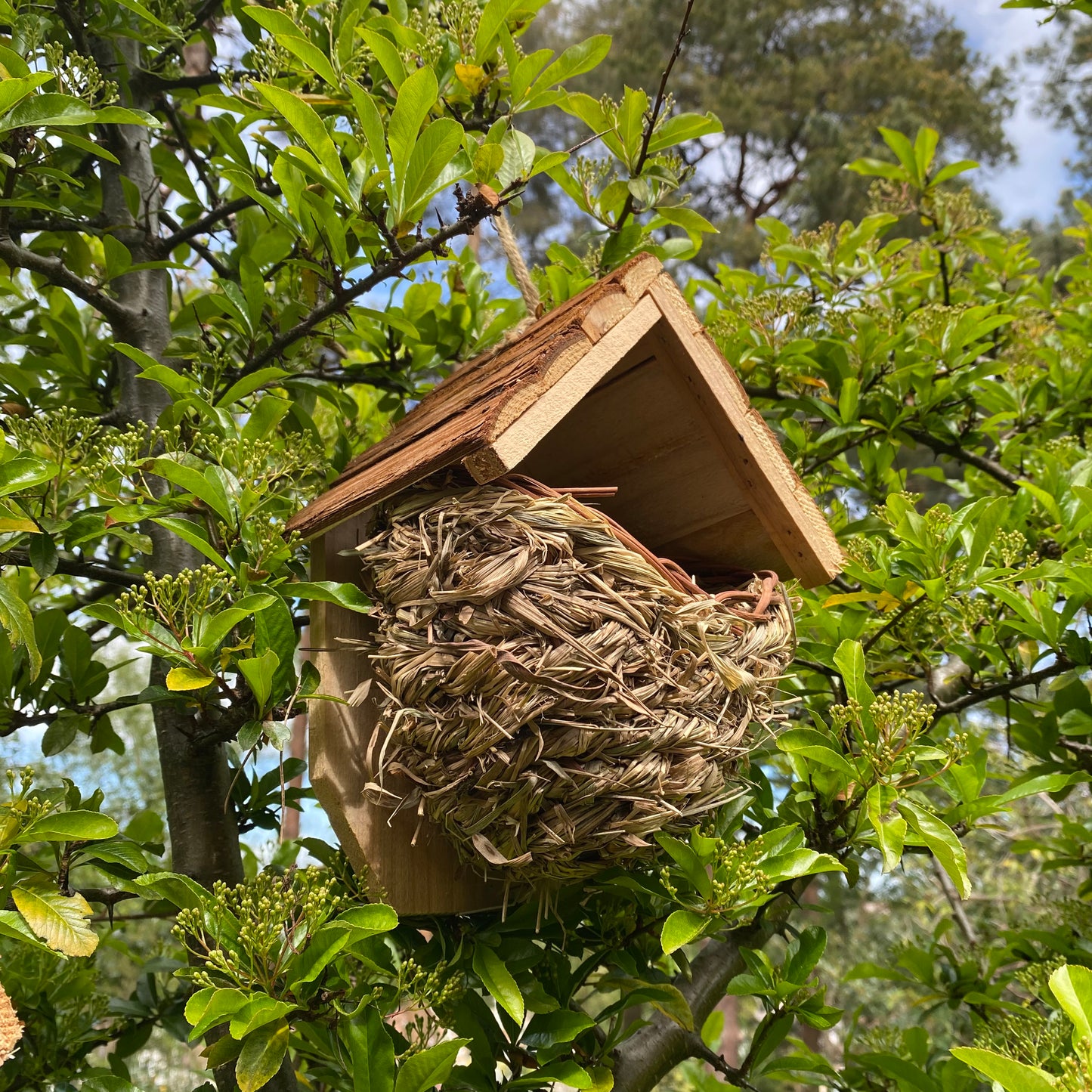 Woven House Martin Bird Nesters with Wooden Roof (Set of 2)