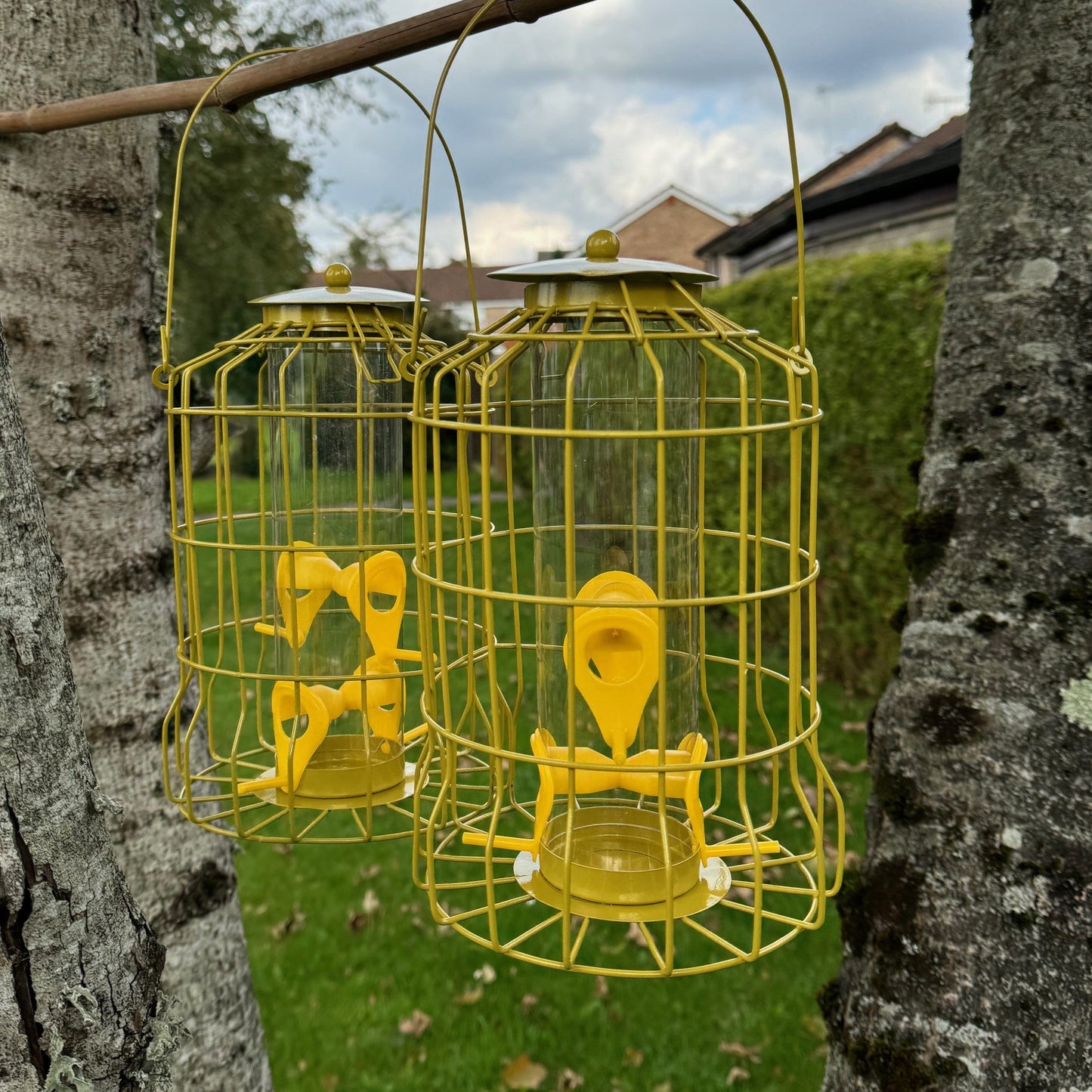 Squirrel Proof Hanging Bird Seed Feeder (Set of 2)
