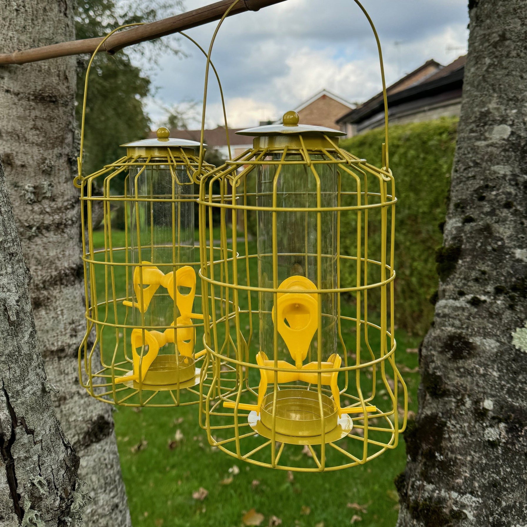 Two yellow metal squirrel proof hanging bird seed feeders with a large hook, suspended from a tree branch.