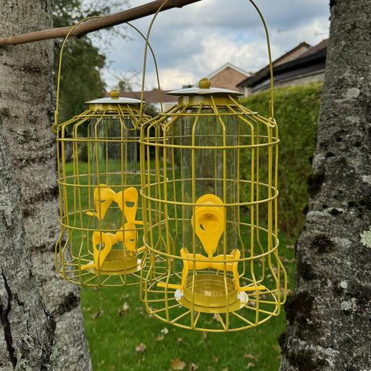 Two yellow metal squirrel proof hanging bird seed feeders with a large hook, suspended from a tree branch.
