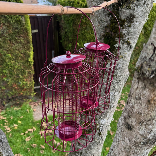 Two burgundy metal squirrel proof bird nut feeders with a large hook for hanging, displayed over a tree.