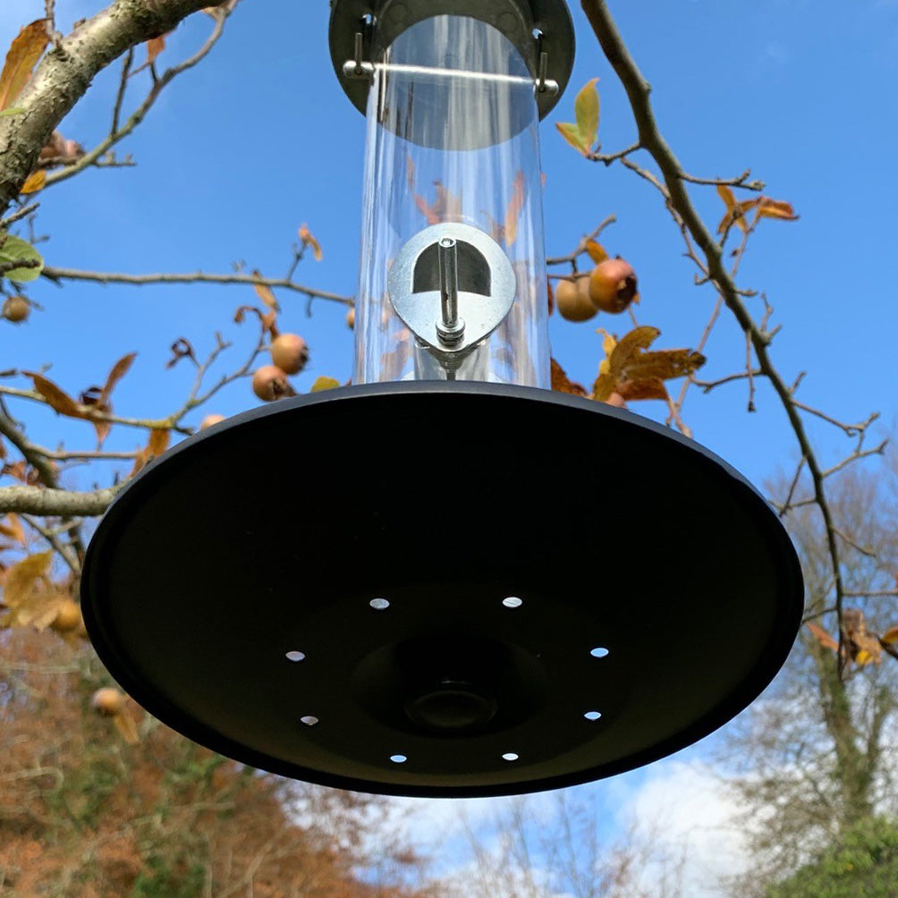 Heavy Duty Aluminium Bird Seed Feeder with Seed Catcher Tray