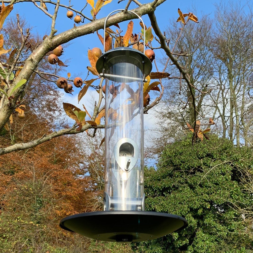 Heavy Duty Aluminium Bird Seed Feeder with Seed Catcher Tray