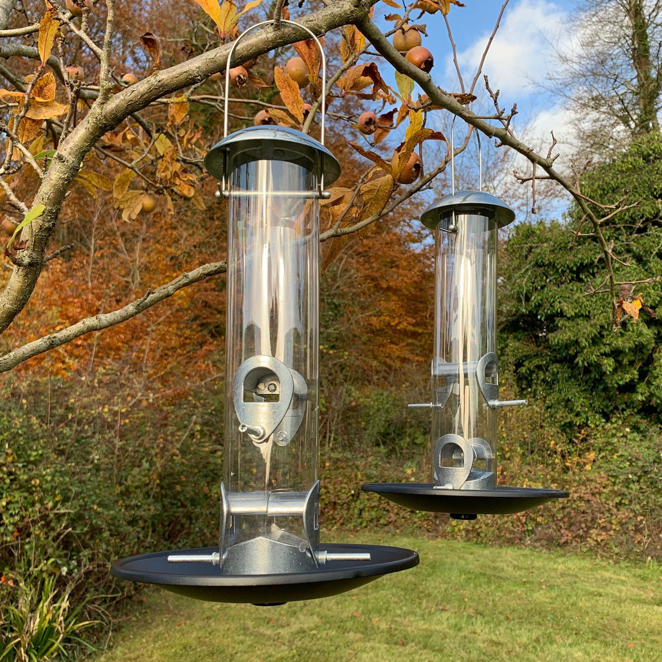 Heavy Duty Aluminium Bird Seed Feeder with Seed Catcher Tray (Set of 4)