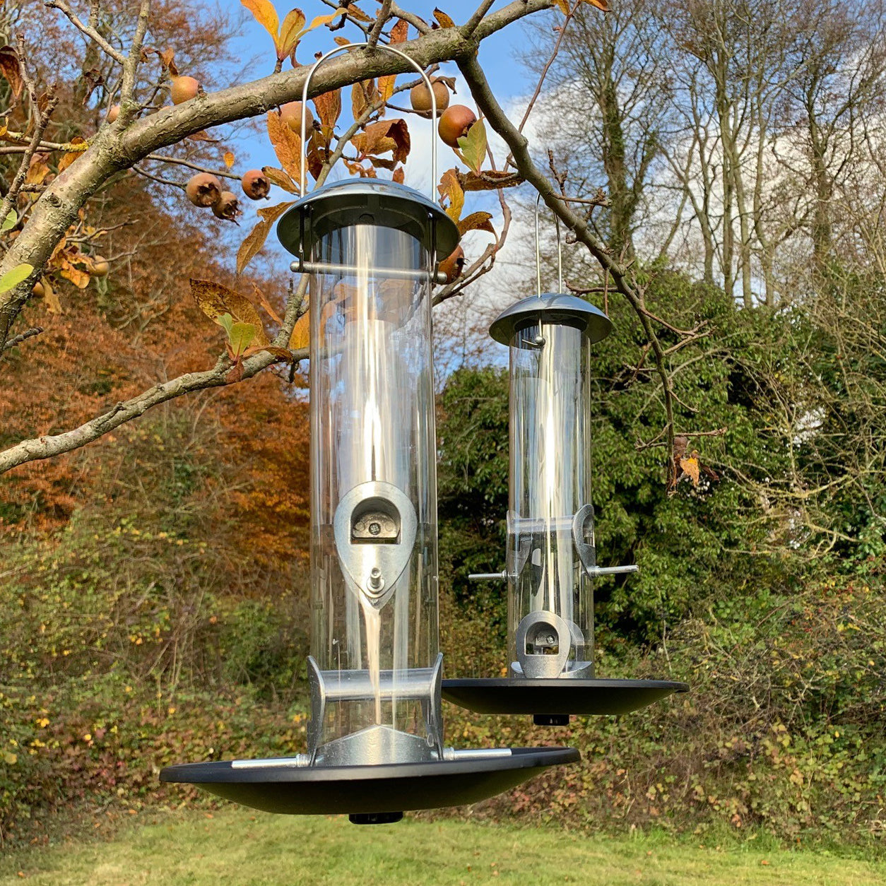 Heavy Duty Aluminium Bird Seed Feeder with Seed Catcher Tray (Set of 4)