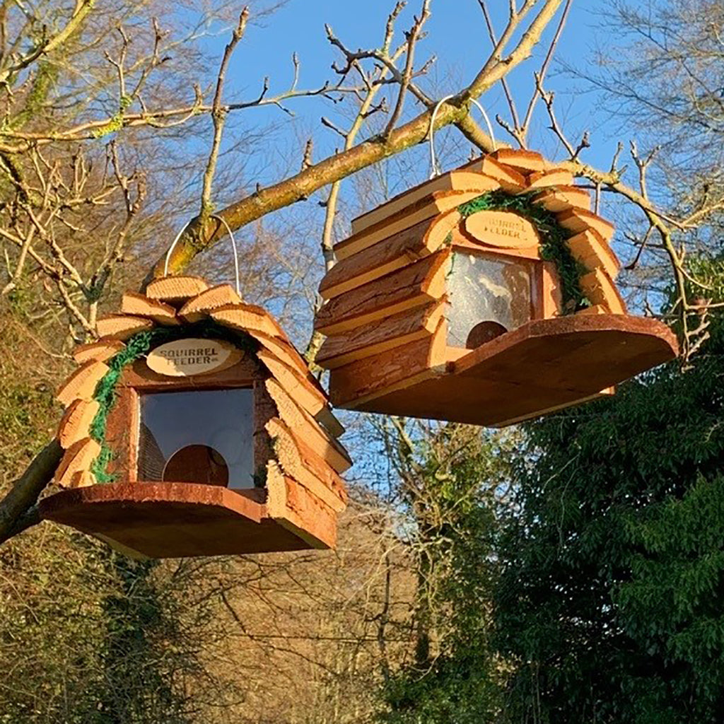 Two wooden squirrel feeders with transparent plexiglass and metal hanging hooks, hanging from tree branches.
