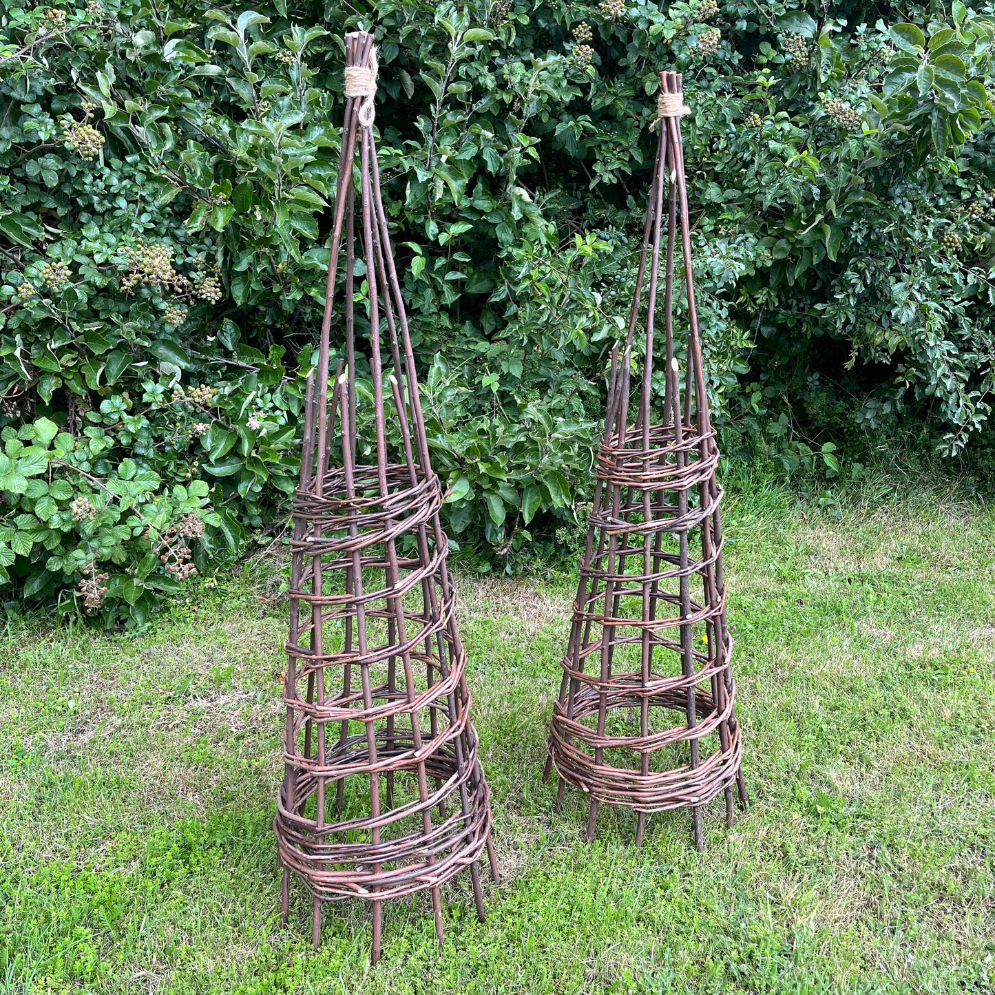 Rustic Willow Garden Obelisk (1.2m)