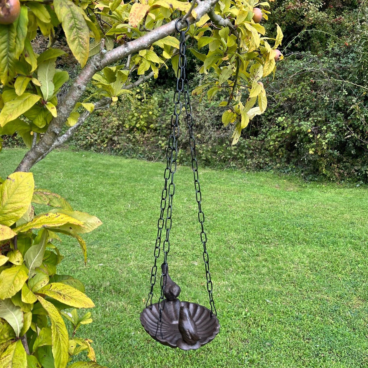 Hanging Cast Iron Garden Bird Bath