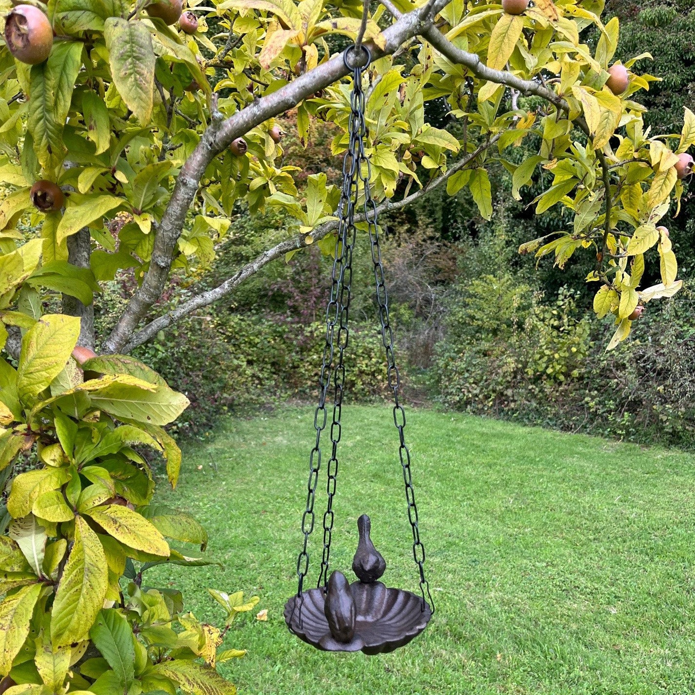 Hanging Cast Iron Garden Bird Bath (Set of 2)