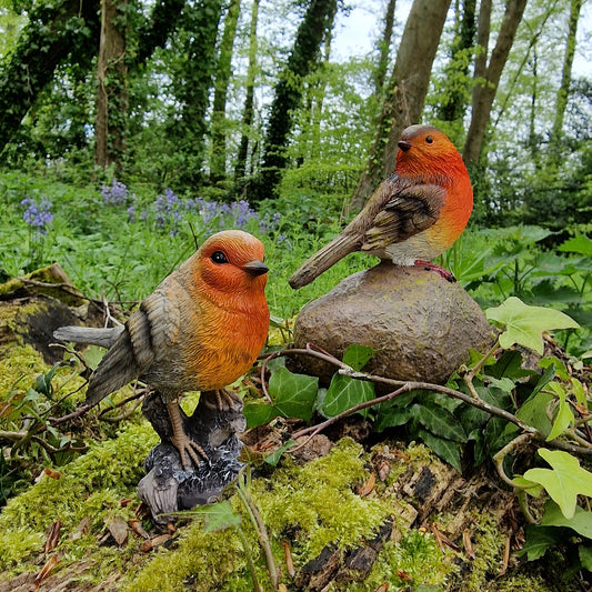 Two resin garden ornaments depicting Robins, one sitting on a stone and the other on a stump, placed in a natural outdoor setting with greenery and trees in the background.