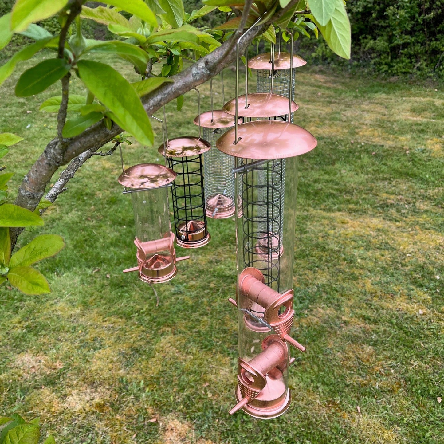 The Crichel Set of Bird Feeders Seed, Nut and Fatball (Set of 6)