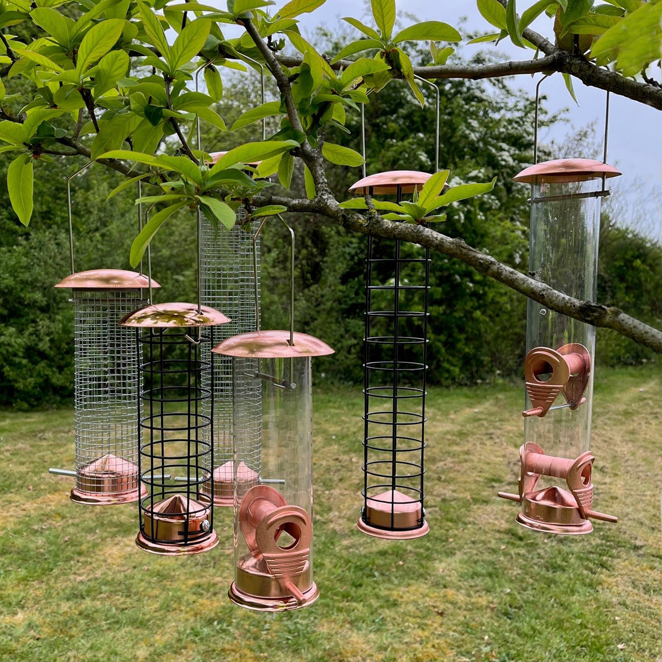 The Crichel Set of Bird Feeders Seed, Nut and Fatball (Set of 6)