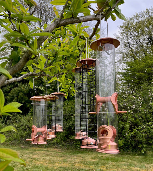 Set of bird feeders hanging from a tree in a garden