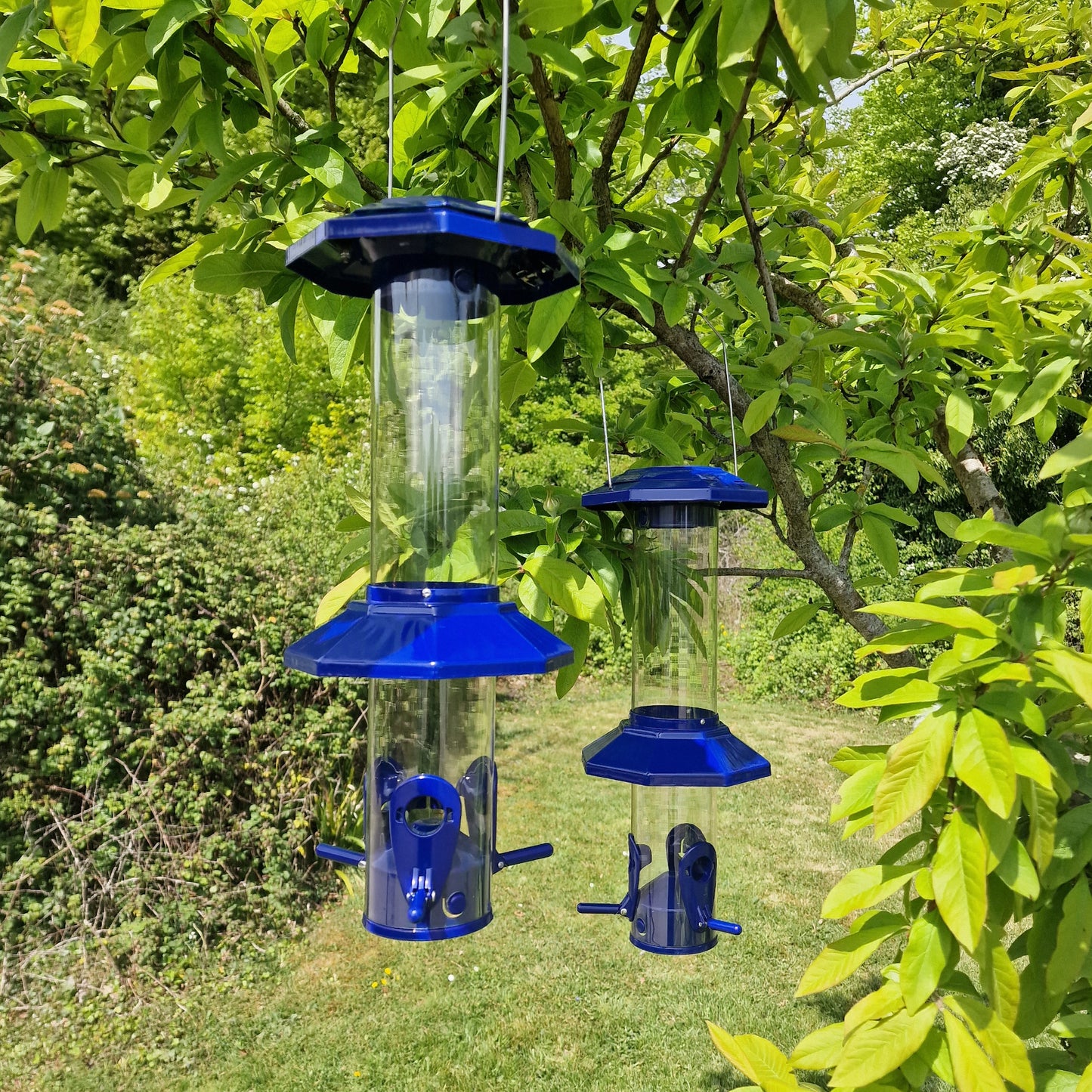Two blue squirrel proof hanging bird seed feeders with clear plastic containers, metal lids, and spring-loaded perches, displayed against a leafy green backdrop.
