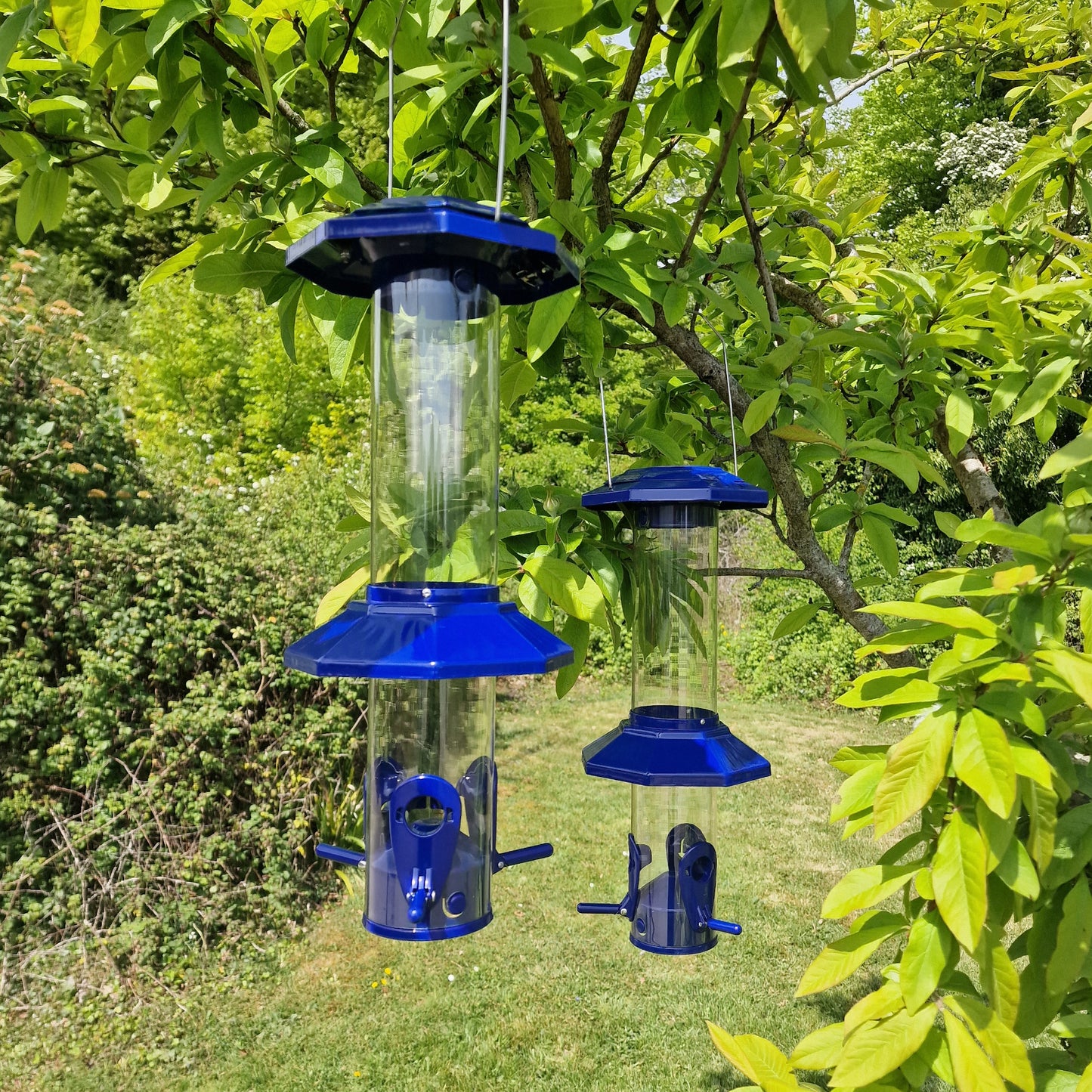 Squirrel Proof Hanging Bird Seed Feeder (Set of 2)