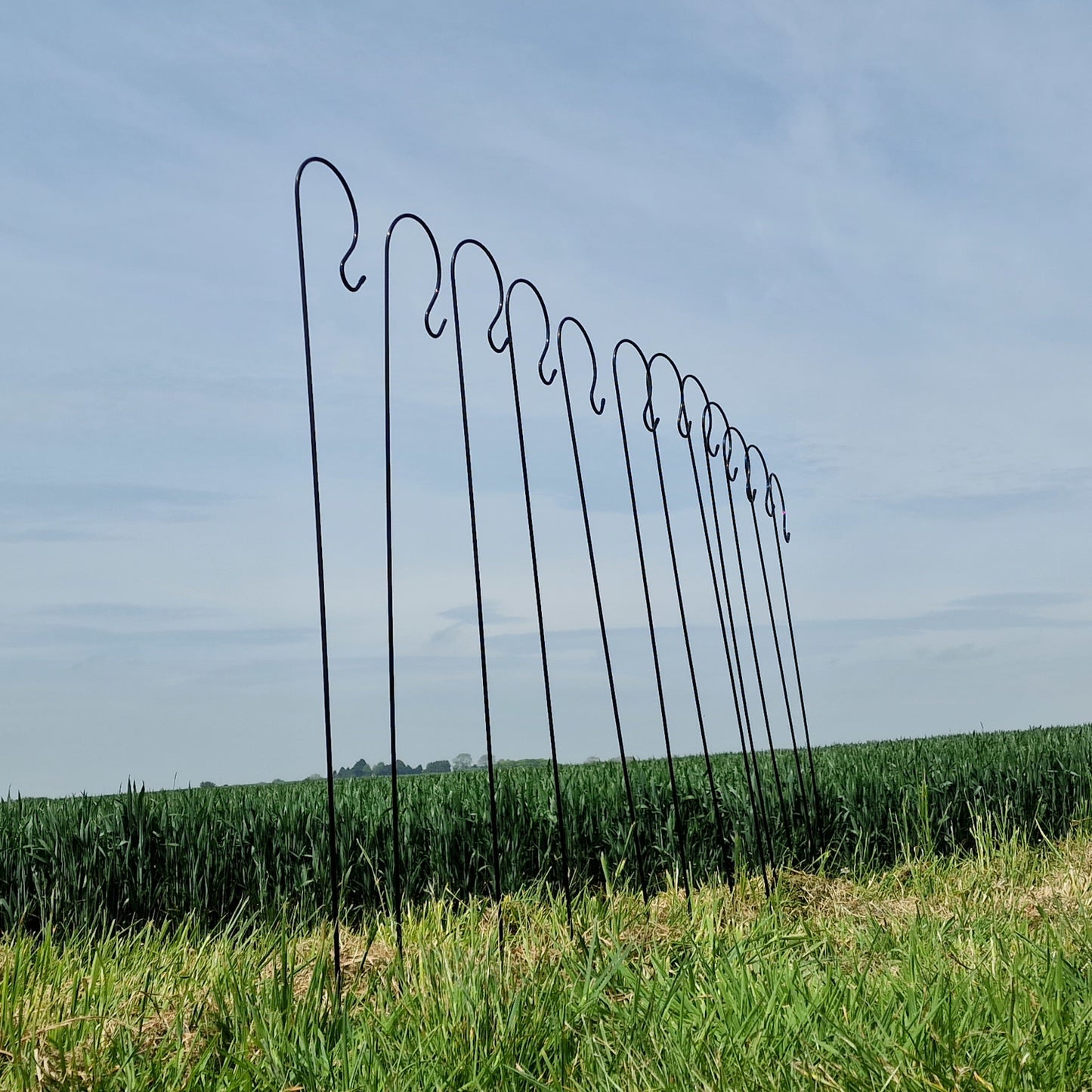 A set of black metal garden border hooks standing upright in an outdoor setting with a clear sky in the background.