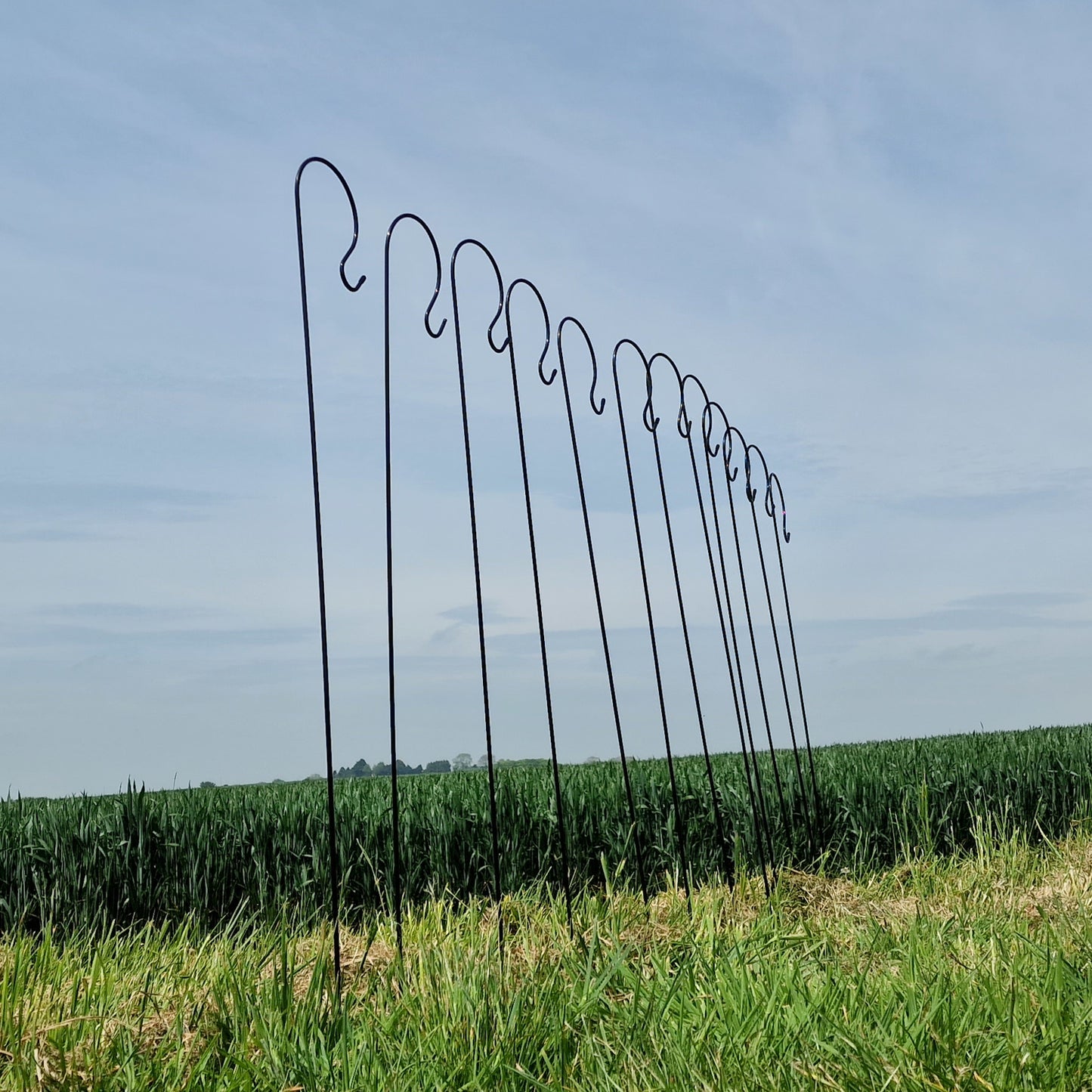 12 x Shepherds Crook Black Metal Garden Border Hooks (1.5m)