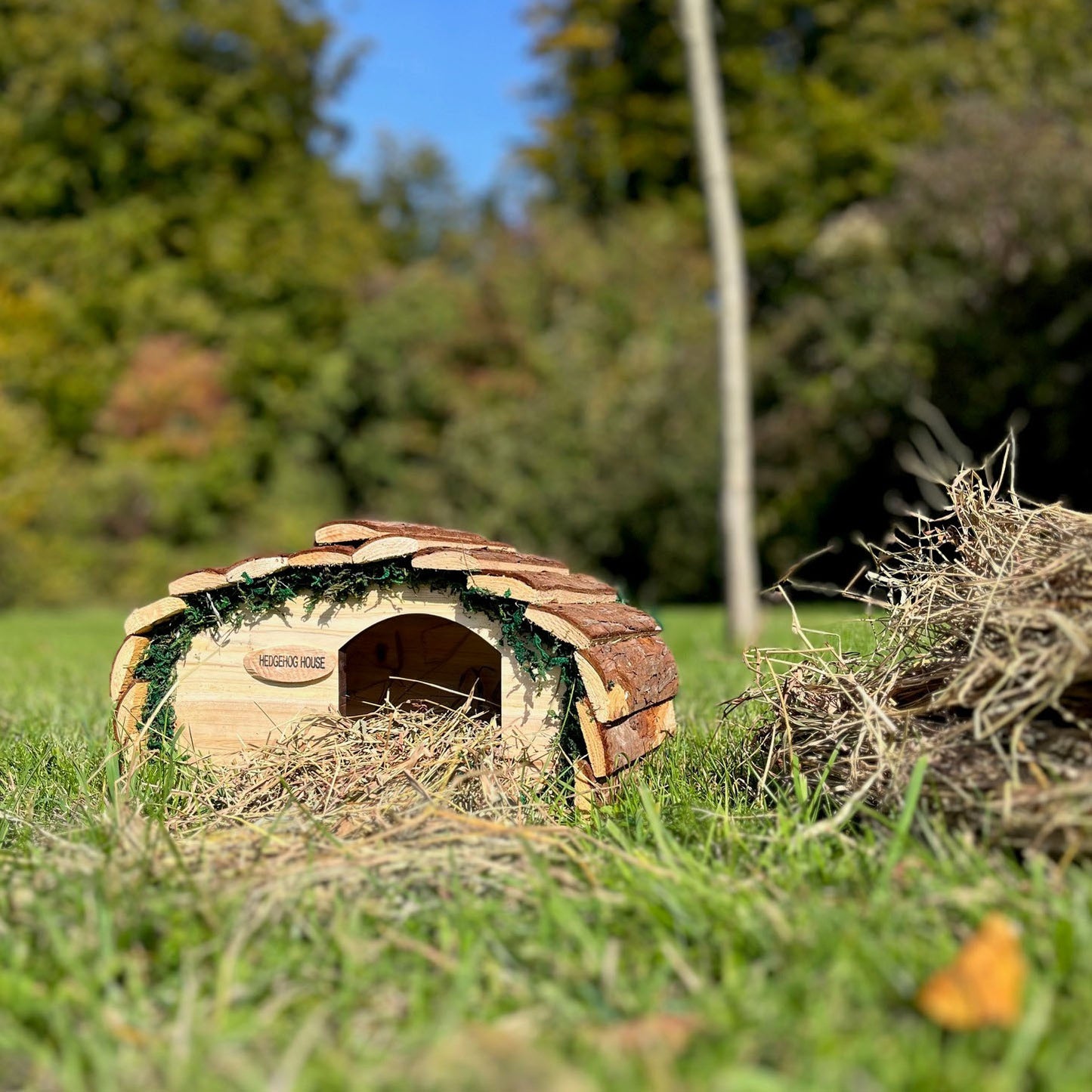 Wooden Hedgehog House Hogitat With Bark Roof & Nesting Straw