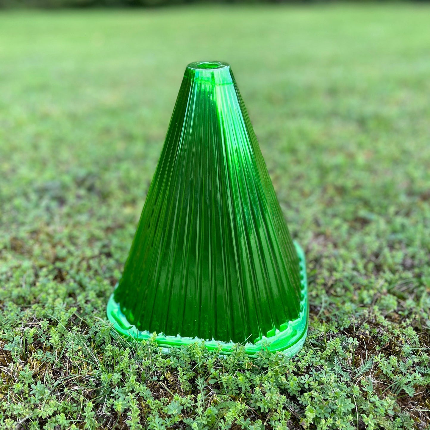 A green plastic plant protection cloche cover placed on soil, resembling a small inverted cone.