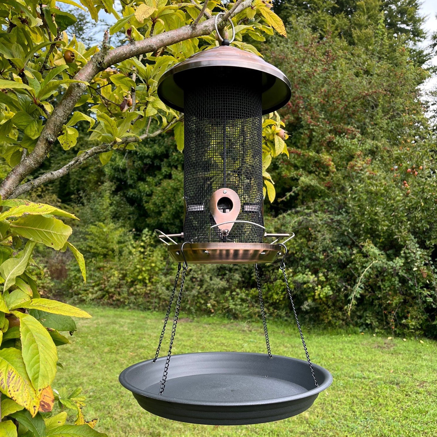 A copper style extra large hanging metal bird seed feeder with a seed catcher tray attached below, hanging from a large hook, set against a backdrop of green foliage.