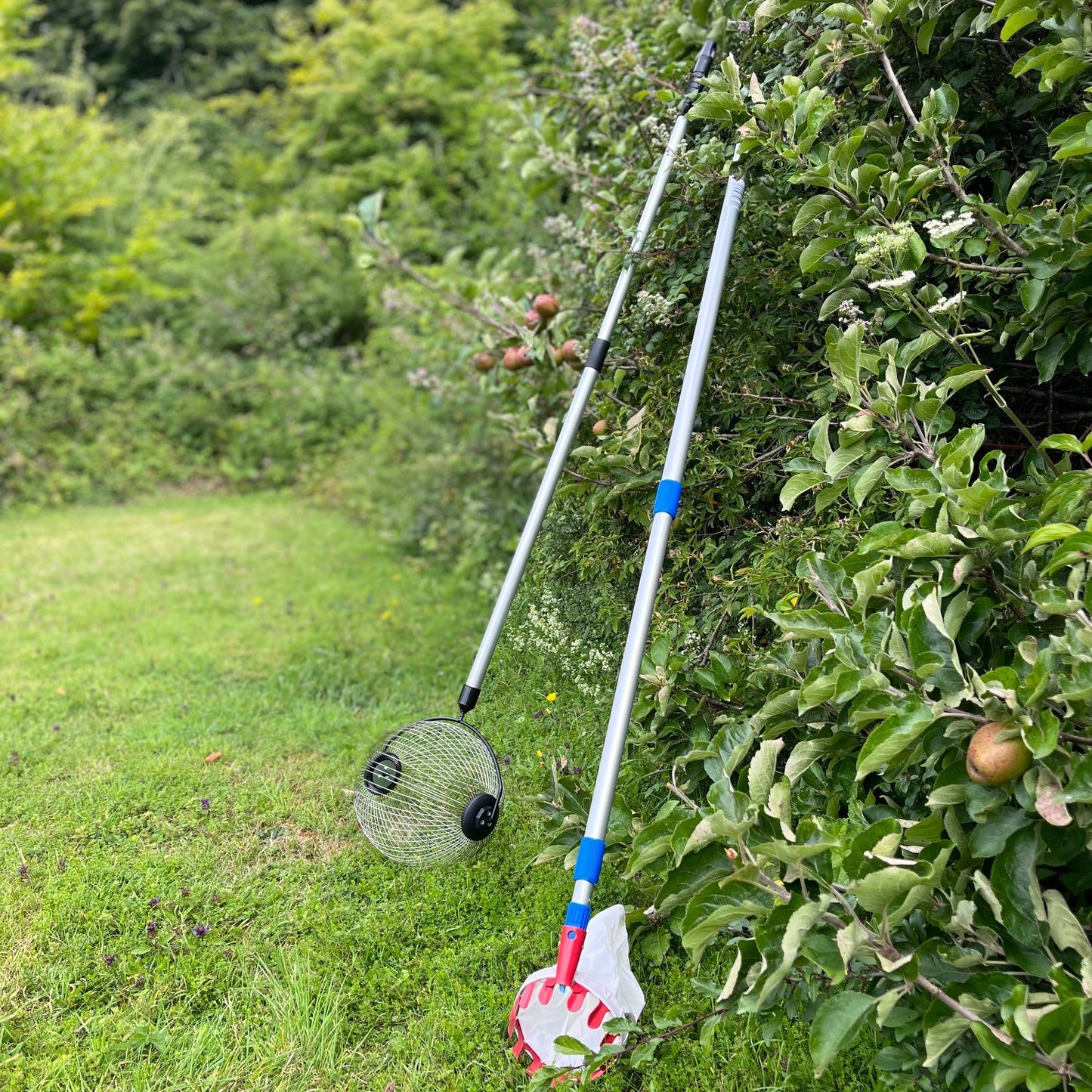 Apple Harvesting Collection Kit - Apple Picker Plus Rolling Collector