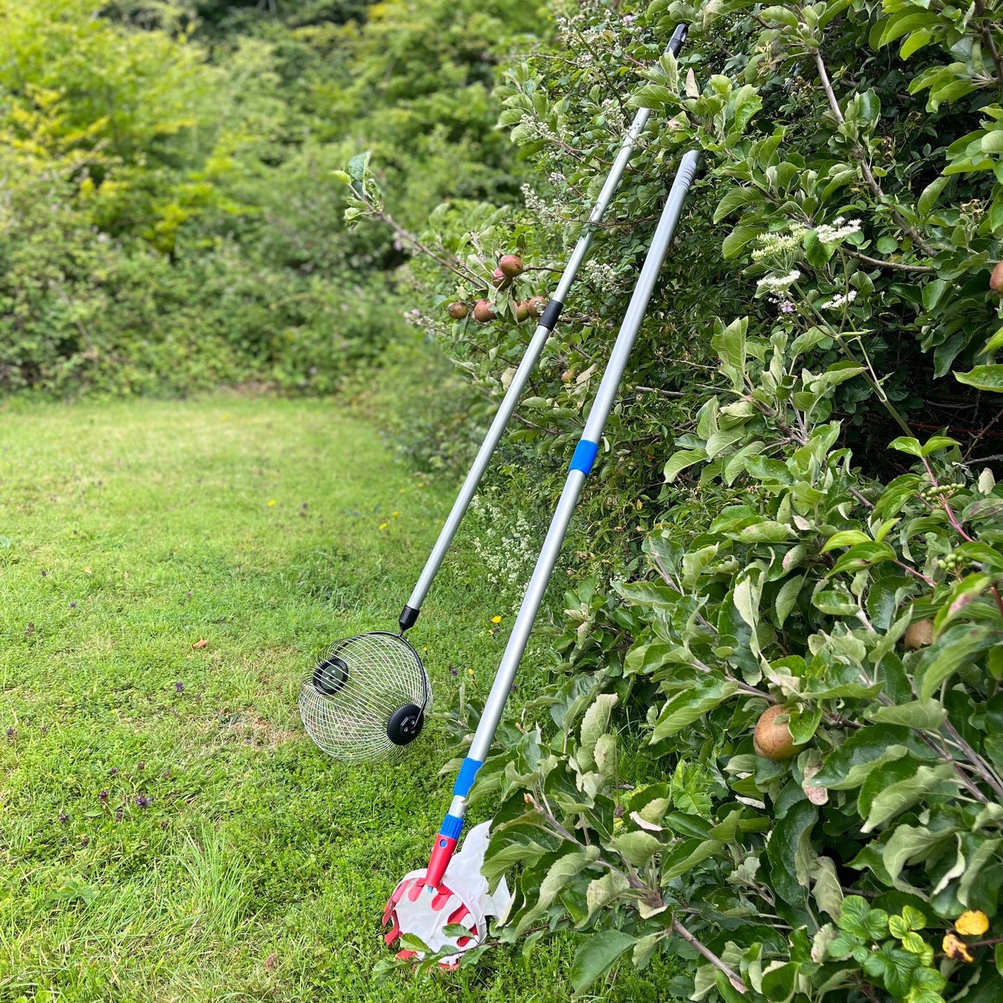 Apple Harvesting Collection Kit - Apple Picker Plus Rolling Collector