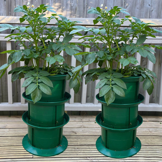 Platform Potato Growing Pot Planters (Pack of 2)