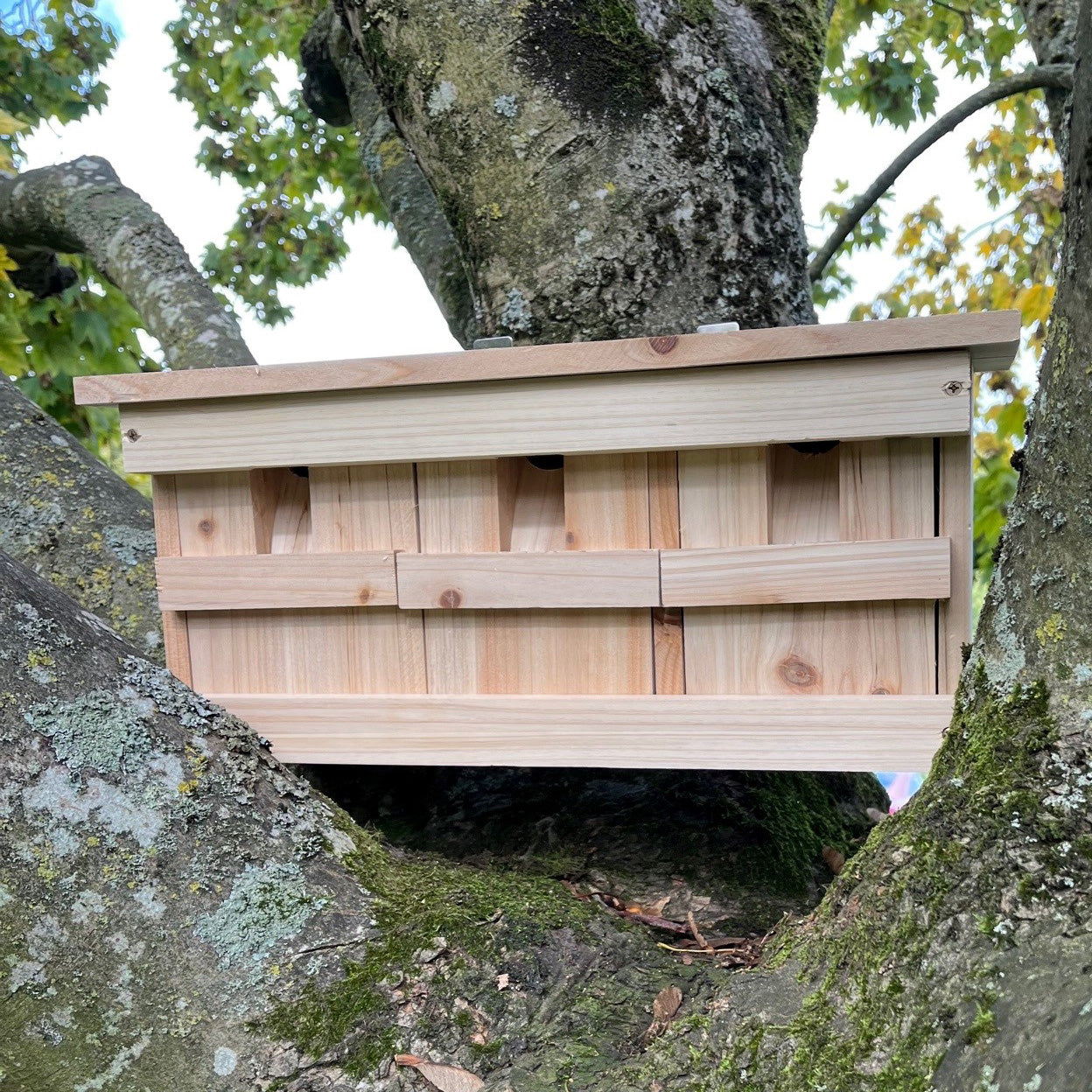 A wooden bird nest box with multiple nesting ports, mounted on a tree.