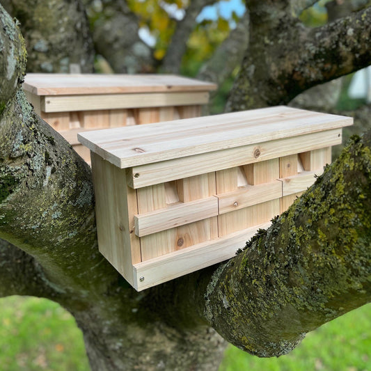 A wooden nesting box with multiple compartments, mounted on a tree branch.