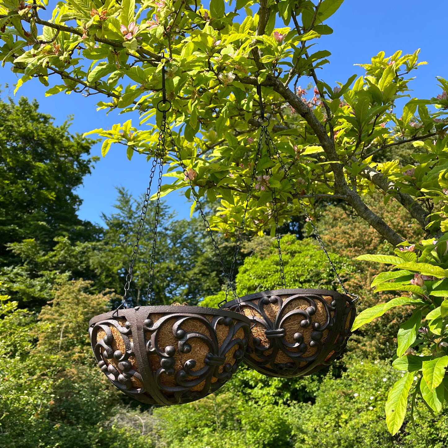 Cast Iron Garden Hanging Basket Planters (25.5cm) - Pack of 2