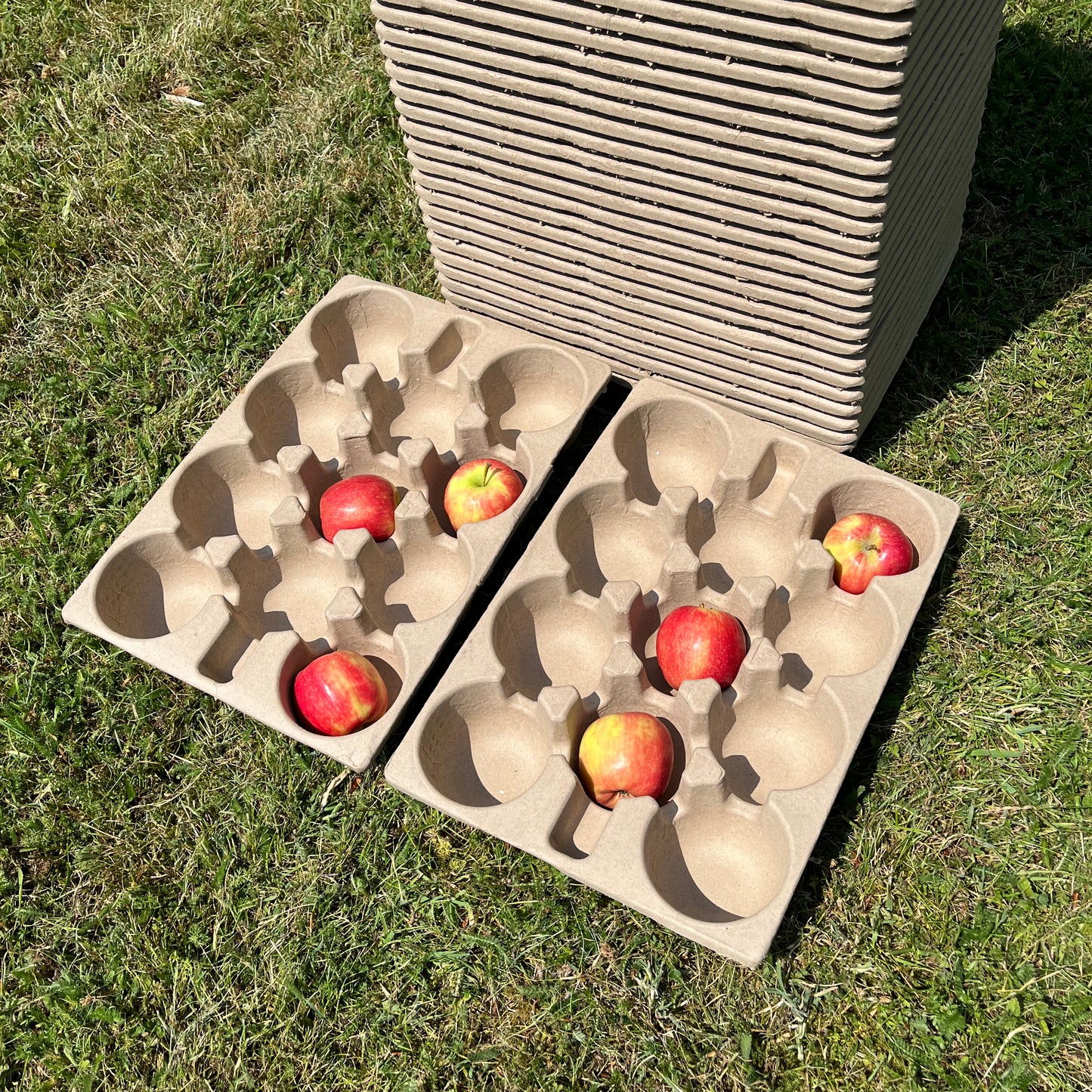 Paper Fibre Apple Storage Trays (Set of 5)