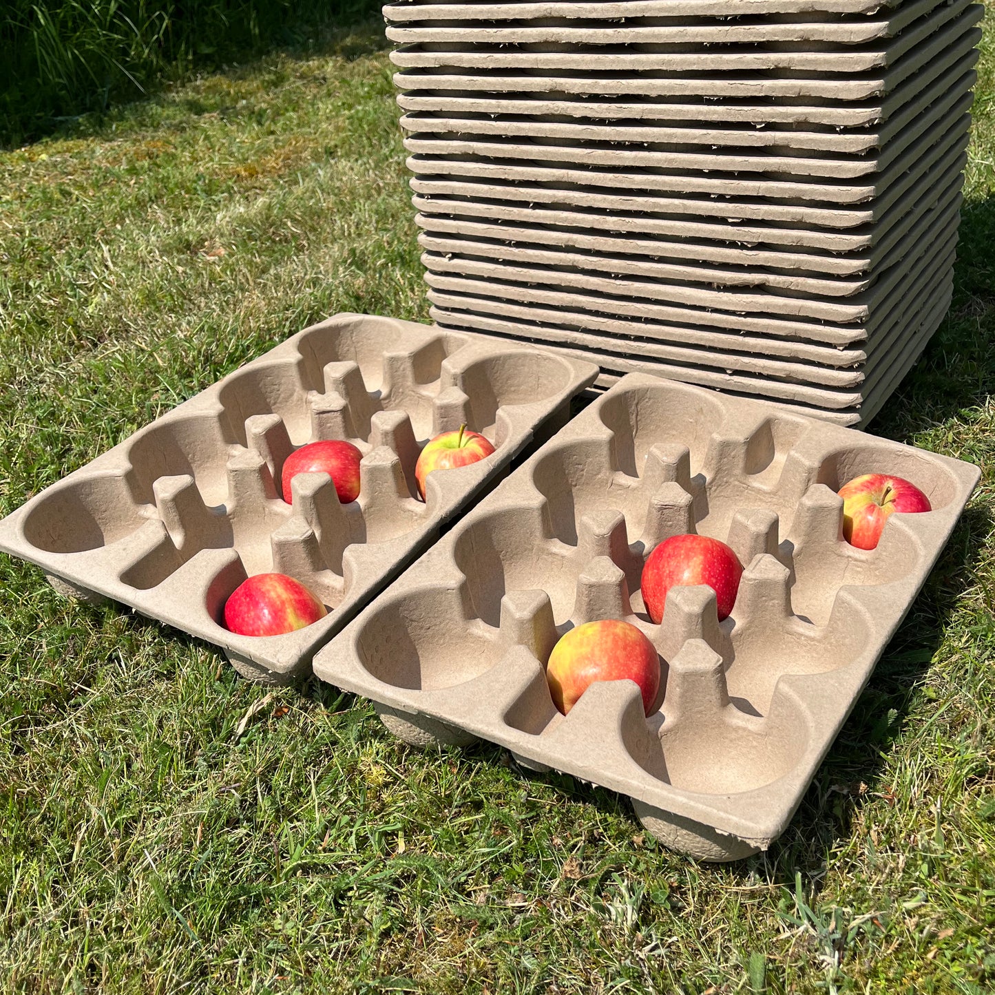 Paper Fibre Apple Storage Trays (Set of 50)