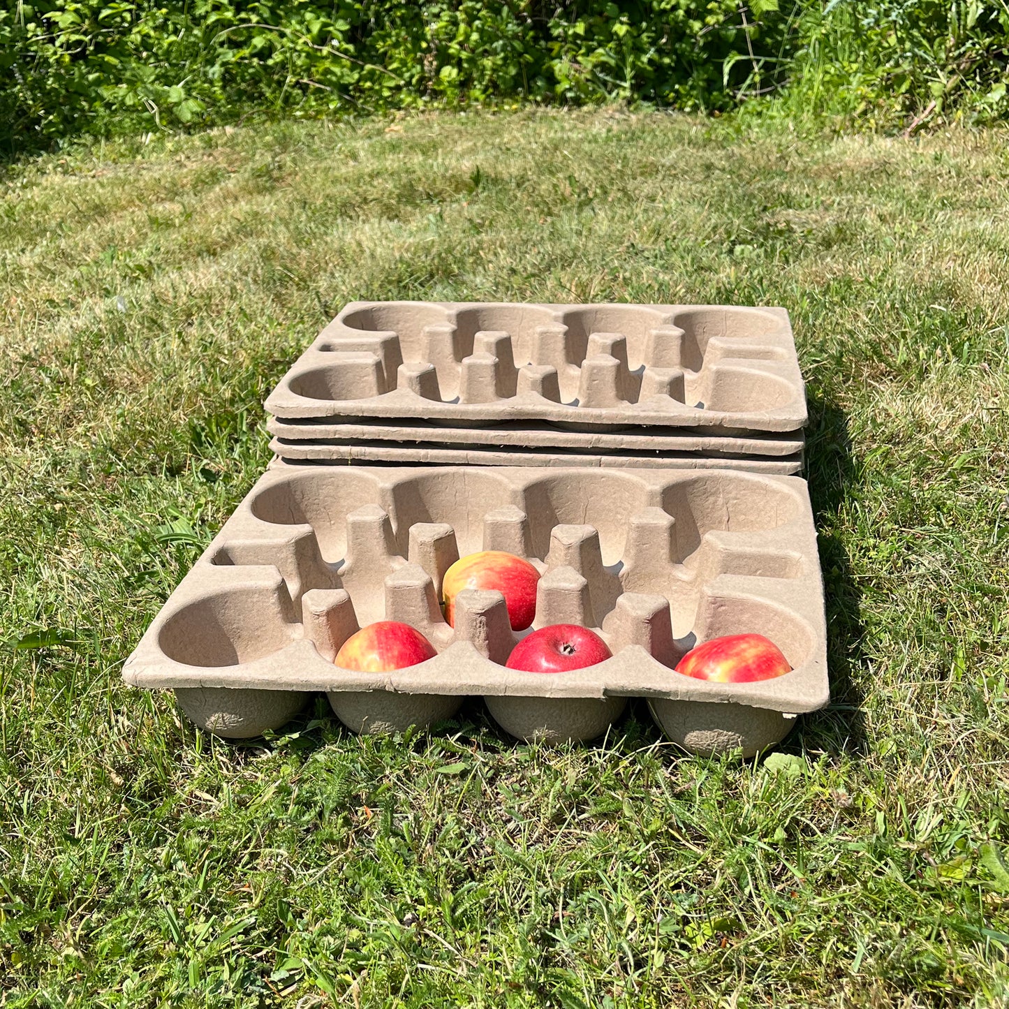 Paper Fibre Apple Storage Trays (Set of 5)