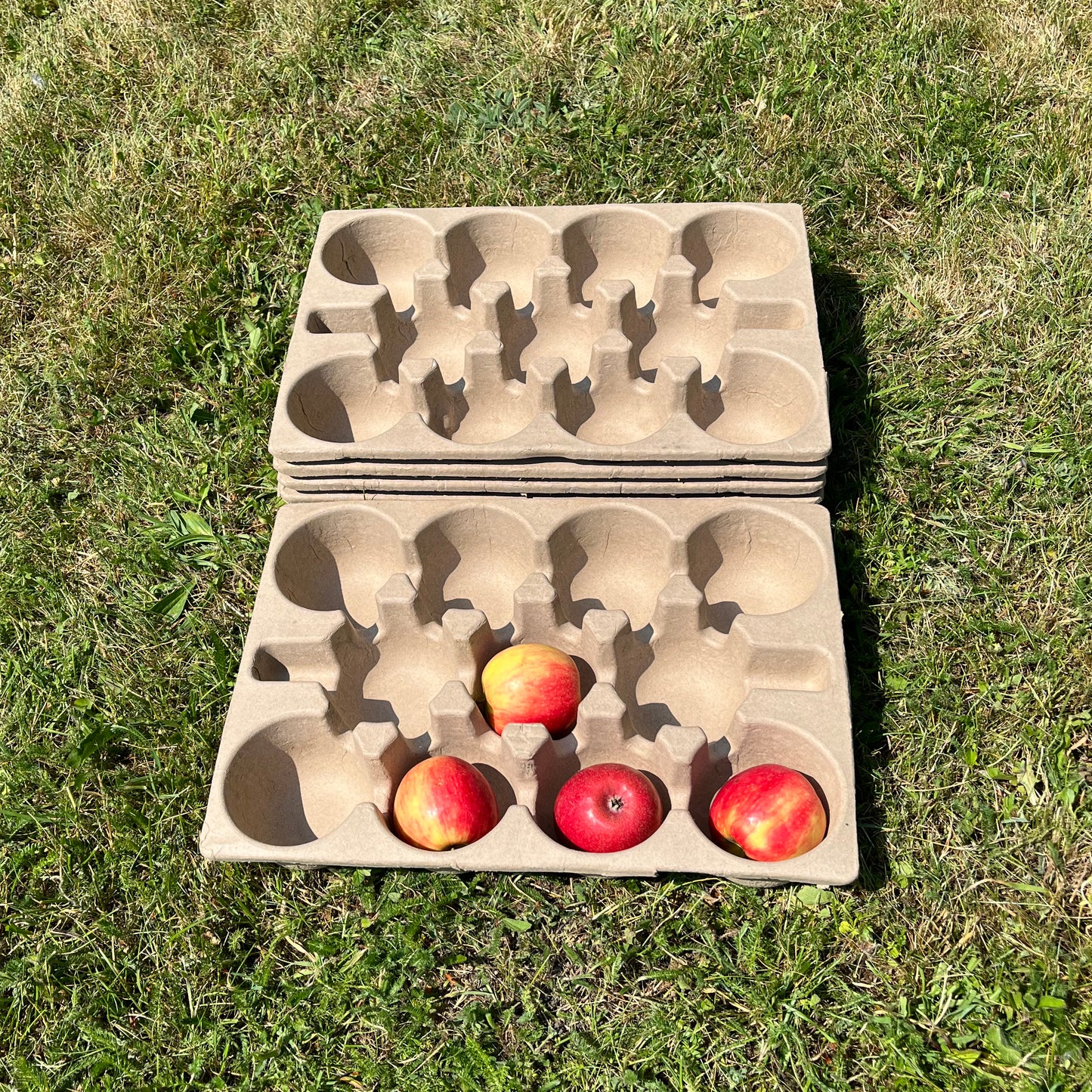 Paper Fibre Apple Storage Trays (Set of 5)