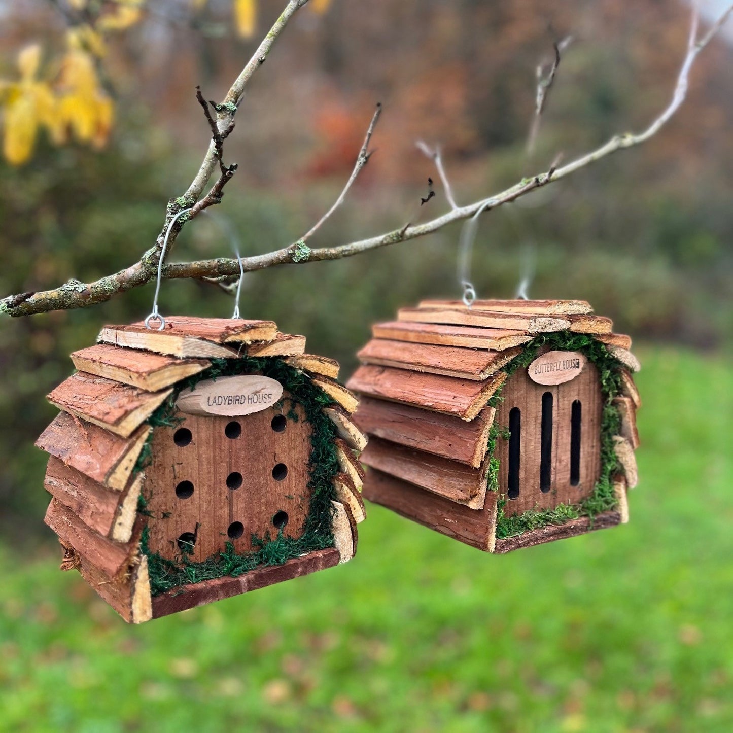 Wooden Hanging Butterfly & Ladybird House Set