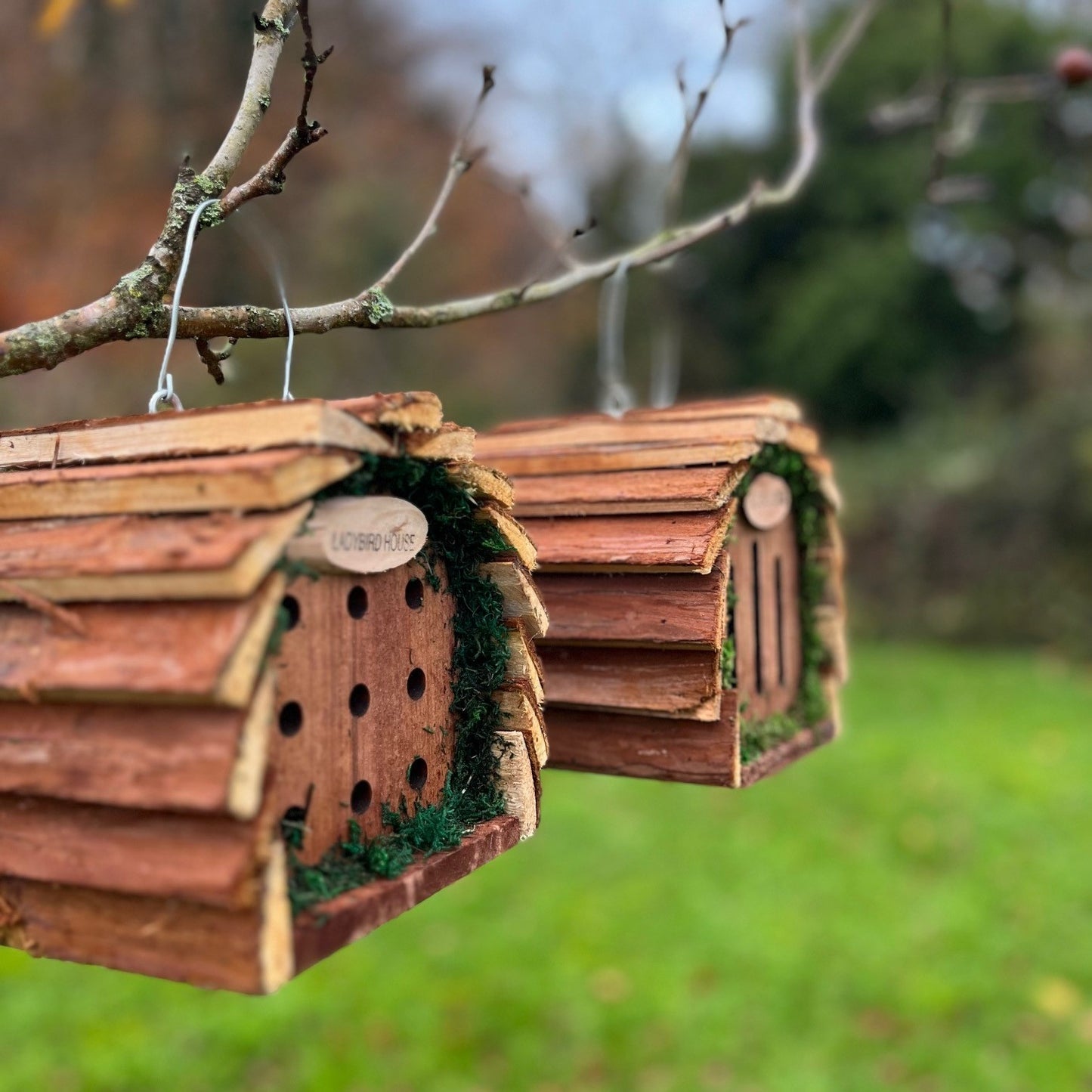 Wooden Hanging Butterfly & Ladybird House Set