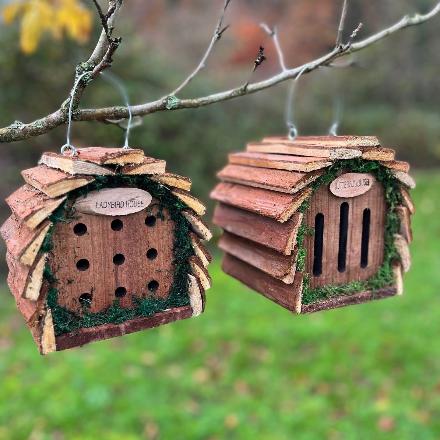 Wooden Hanging Butterfly & Ladybird House Set